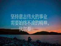 哈尔滨市道外区簇佳网络工作室
