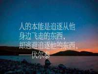 哈尔滨市道外区簇佳网络工作室