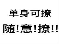 哈尔滨市道外区簇佳网络工作室