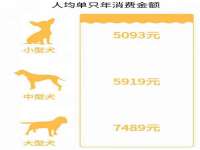 哈尔滨市道外区簇佳网络工作室