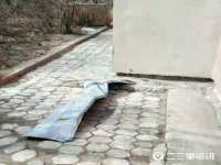 哈尔滨市道外区簇佳网络工作室