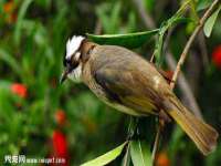 哈尔滨市道外区簇佳网络工作室