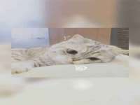 哈尔滨市道外区簇佳网络工作室