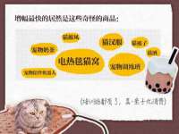 哈尔滨市道外区簇佳网络工作室