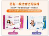 哈尔滨市道外区簇佳网络工作室