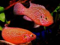 哈尔滨市道外区簇佳网络工作室