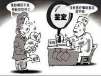 哈尔滨市道外区簇佳网络工作室