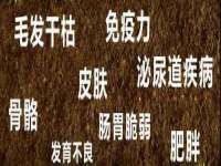 哈尔滨市道外区簇佳网络工作室