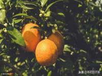 哈尔滨市道外区簇佳网络工作室