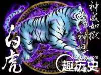哈尔滨市道外区簇佳网络工作室