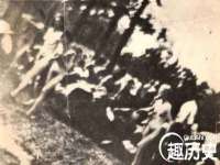 哈尔滨市道外区簇佳网络工作室