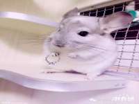哈尔滨市道外区簇佳网络工作室