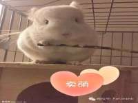 哈尔滨市道外区簇佳网络工作室