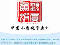 哈尔滨市道外区簇佳网络工作室