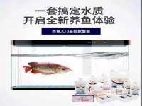 哈尔滨市道外区簇佳网络工作室