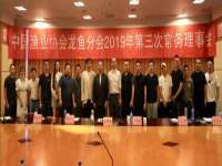 哈尔滨市道外区簇佳网络工作室