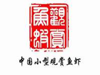 哈尔滨市道外区簇佳网络工作室