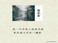 哈尔滨市道外区簇佳网络工作室