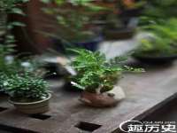 哈尔滨市道外区簇佳网络工作室