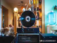 哈尔滨市道外区簇佳网络工作室
