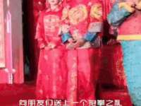 哈尔滨市道外区簇佳网络工作室