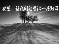 哈尔滨市道外区簇佳网络工作室