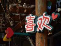 哈尔滨市道外区簇佳网络工作室