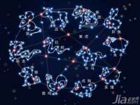 哈尔滨市道外区簇佳网络工作室