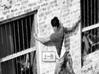 哈尔滨市道外区簇佳网络工作室