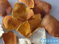 哈尔滨市道外区簇佳网络工作室