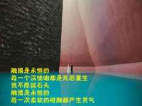 哈尔滨市道外区簇佳网络工作室