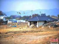 哈尔滨市道外区簇佳网络工作室