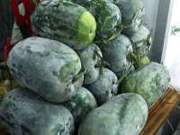 哈尔滨市道外区簇佳网络工作室