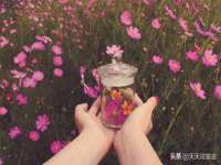 哈尔滨市道外区簇佳网络工作室