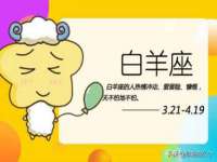 哈尔滨市道外区簇佳网络工作室