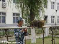 哈尔滨市道外区簇佳网络工作室