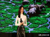 哈尔滨市道外区簇佳网络工作室
