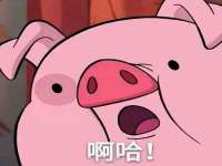 哈尔滨市道外区簇佳网络工作室