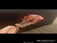 哈尔滨市道外区簇佳网络工作室